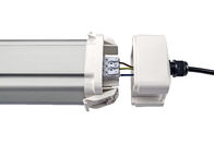Dualrays D5 Series 5ft 80W LED Tri Proof Light LED Tube Light z 120-stopniowym kątem fasoli IP66
