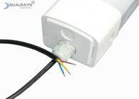 Dualrays D5 Series 2ft 20W Rozpraszanie ciepła Odporne na kurz światła LED 160LmW z czujnikiem mikrofalowym