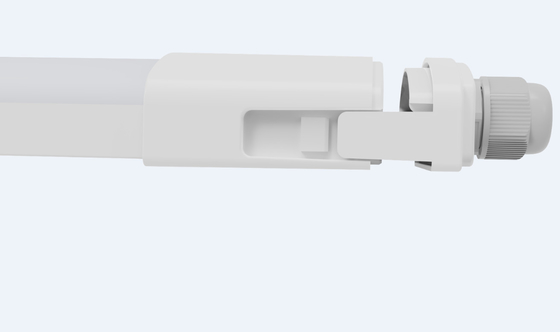 D2.5 LED Triproof Lighting Hi-Slim &amp; Buckle End Cap Design dla oszczędności kosztów pracy