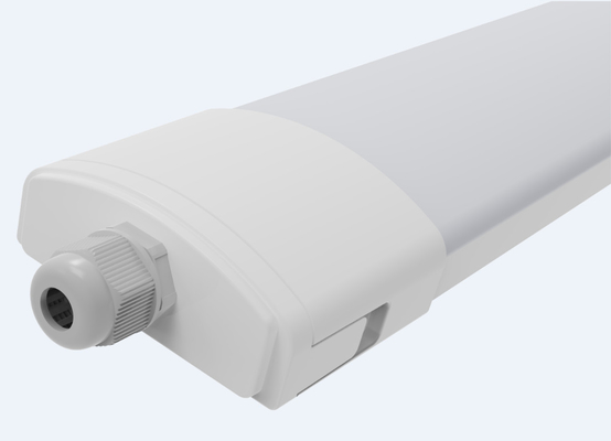 D2.5 LED Triproof Lighting Hi-Slim &amp; Buckle End Cap Design dla oszczędności kosztów pracy