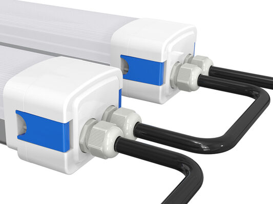 Dualrays D5 światło LED odporne na wilgoć z przełączalną mocą DIP / 3CCT 160LPW wydajność