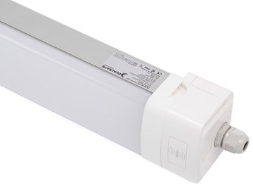 Dualrays D5 50W 5 ft Epistar Led Tri Proof Light IP66 IK10 LED przeciwwybuchowe światła 160lmw Wydajność