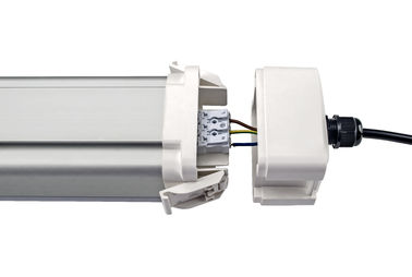 Dualrays D5 50W 5 ft Epistar Led Tri Proof Light IP66 IK10 LED przeciwwybuchowe światła 160lmw Wydajność