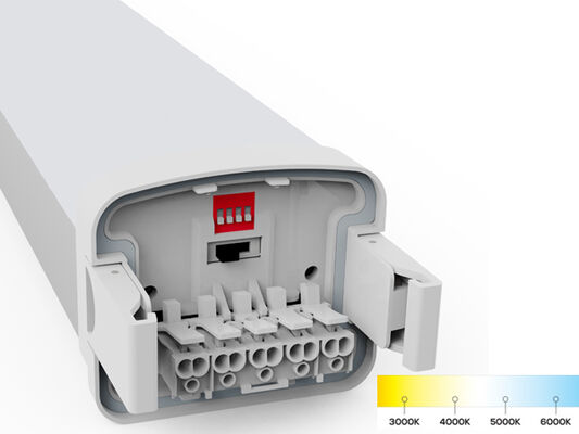 D5 Światło odporne na wilgoć LED z przenośnym zasilaczem DIP i 3CCT 3/5*1.5/2.5mm2