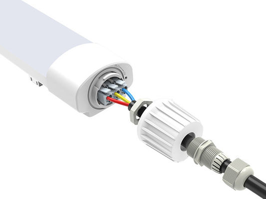 Pełne plastikowe światło odporne na światło 36W D2 IP65 LED odporne na parę IP65 IK08 do projektu hurtowego